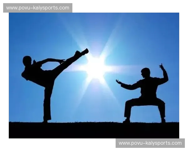 搏击的刚猛与太极的柔韧:一场跨越时空的对话